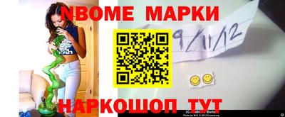 сатива Новозыбков