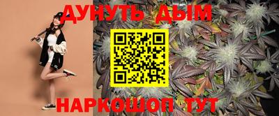 spice Новодвинск