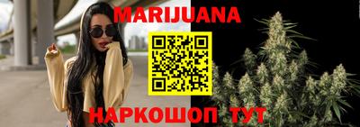 spice Новодвинск