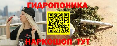 сатива Новозыбков