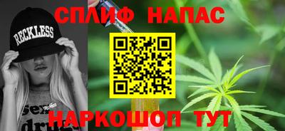 сатива Новозыбков
