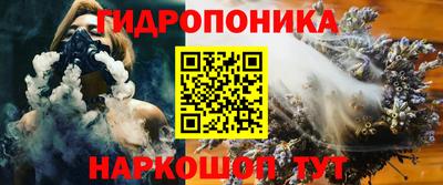 spice Новодвинск