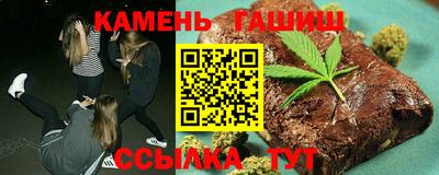 сатива Новозыбков