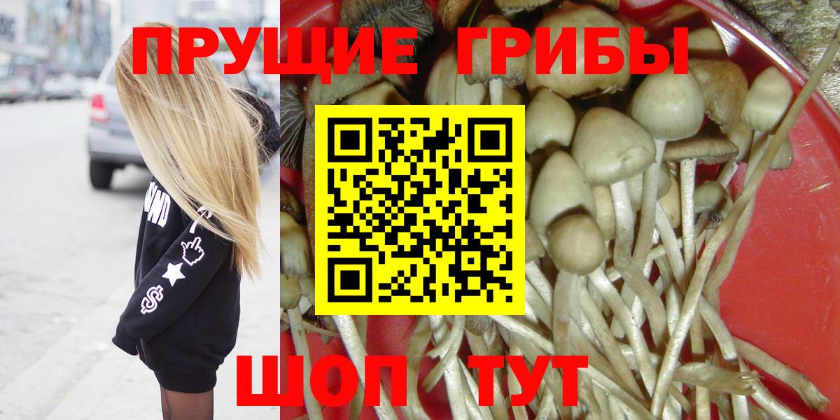 Галлюциногенные грибы мицелий Шадринск