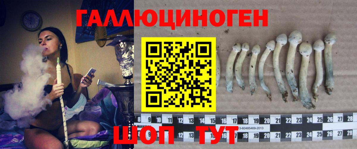 купить наркоту  Вход с VPN  Шадринск  Галлюциногенные грибы Magic Shrooms  Псилоцибиновые грибы прущие грибы 